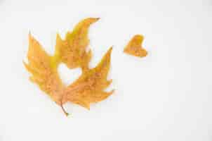 Free photo top view autumn leaves with heart