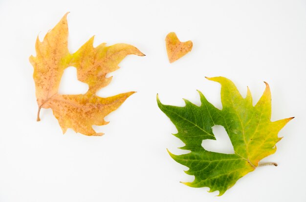 Top view autumn leaves with heart