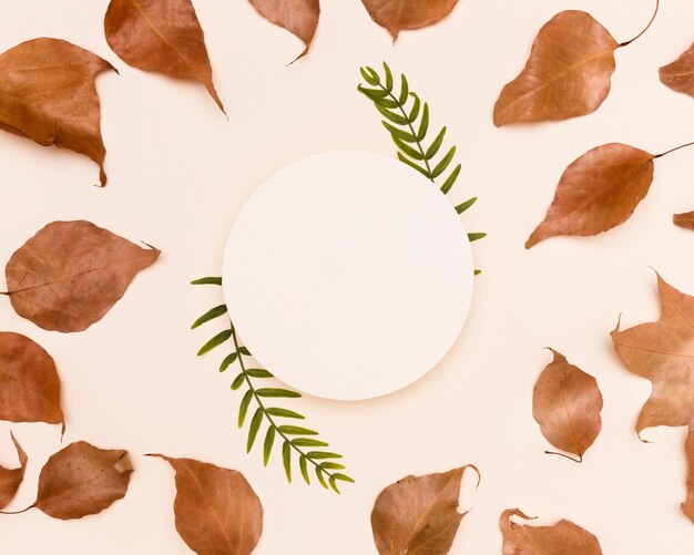 Top view of autumn leaves with paper circle