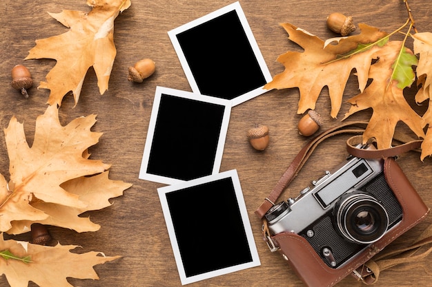 Free photo top view of autumn leaves with photos and camera