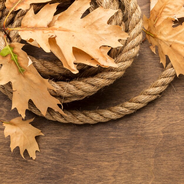 Top view of autumn leaves with rope