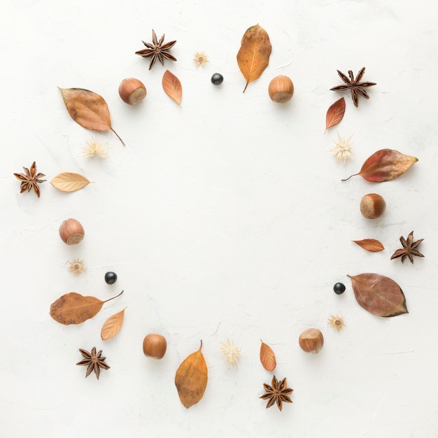 Top view of autumn leaves with star anise and chestnuts