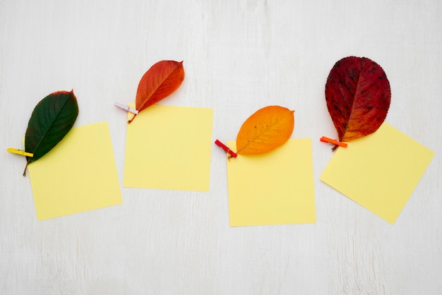 Free photo top view of autumn leaves with sticky notes