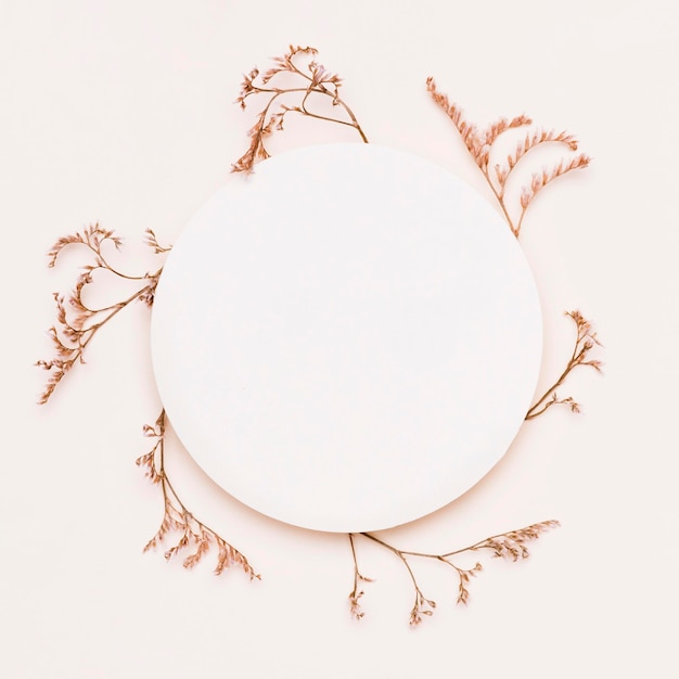 Top view of autumn plants with paper circle