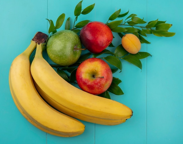 Top view of bananas with colored apples and peach with apricot on branches on a turquoise surface