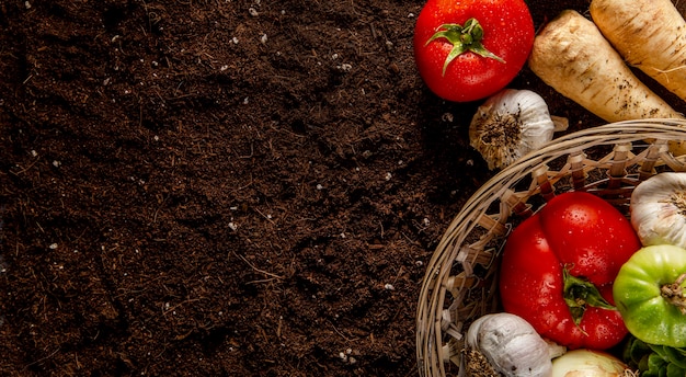 Top view of basket of veggies with copy space