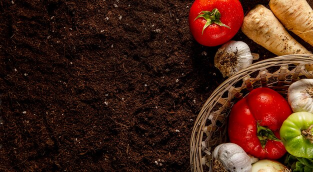 Top view of basket of veggies with copy space