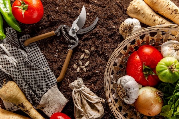 Top view of basket of veggies with scissors