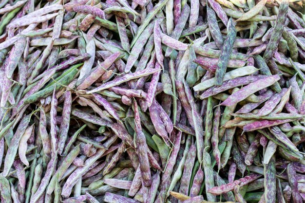 top view beans surface vegetable surface