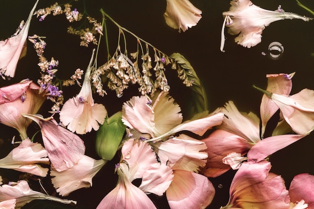 Free photo top view beautiful pink flowers in black water