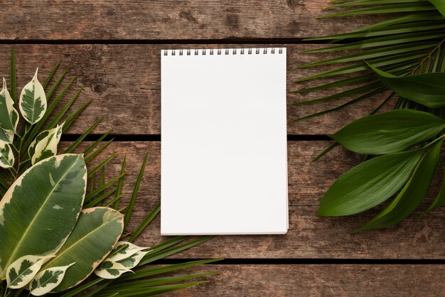 Top view of beautiful plant leaves with notebook