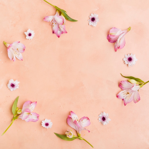 Top view of beautiful spring orchids and daisies