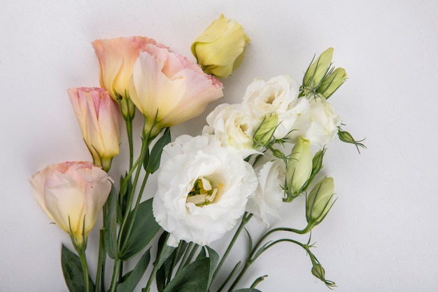 Top view of beautiful white and yellow roses with leaves on a white background