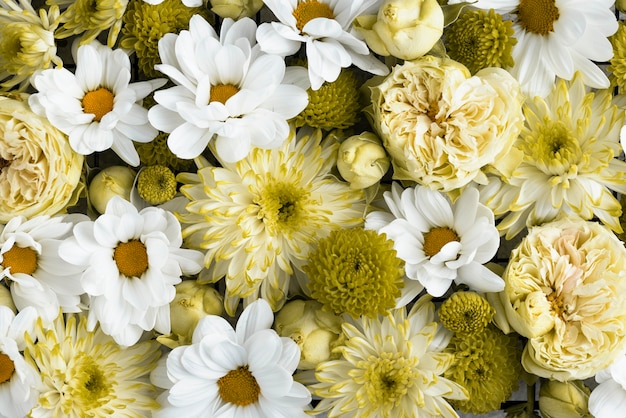 Page 9  Dried Daisy Flowers Images - Free Download on Freepik