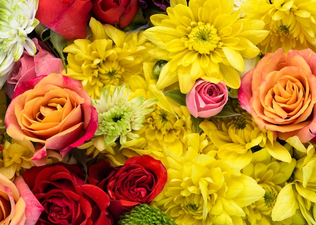 Top view of beautifully colored flowers