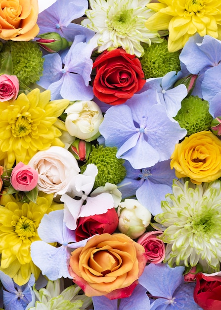 Top view of beautifully colored flowers