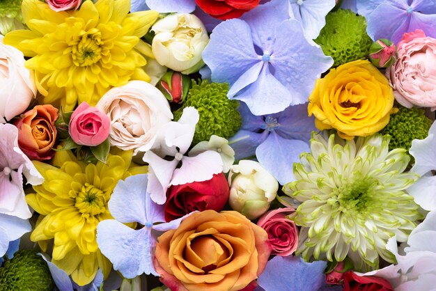 Top view of beautifully colored flowers