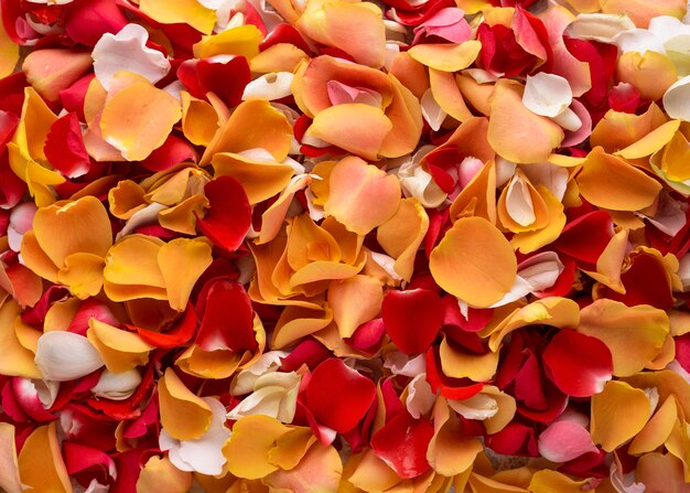 Rose Petals Images - Free Download on Freepik