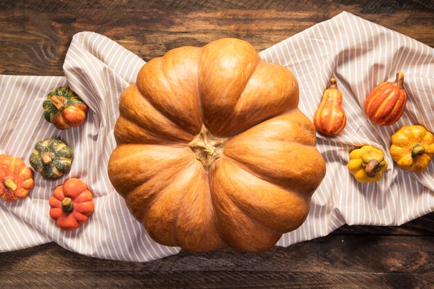 Top view big pumpkin on striped sheet 