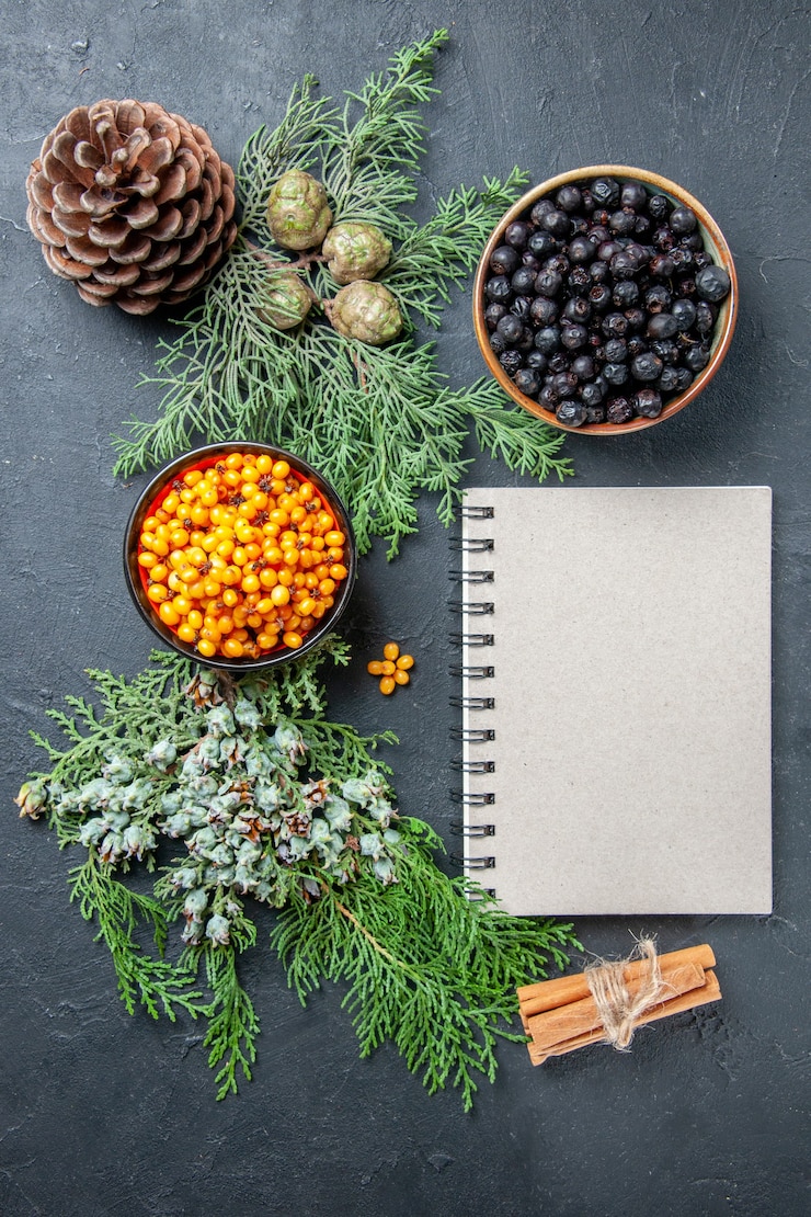 Free Photo top view black currant sea buckthorn in bowls notepad cinnamon sticks on dark surface