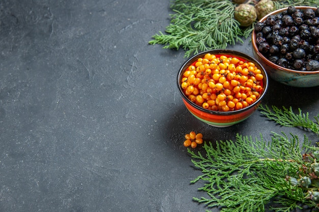 Top view black currant sea buckthorn in bowls pine branch on dark surface with copy space