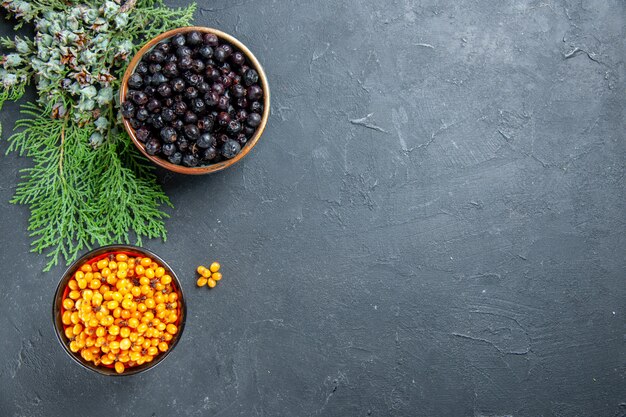 Top view black currant sea buckthorn in bowls pine branch on dark surface with copy space