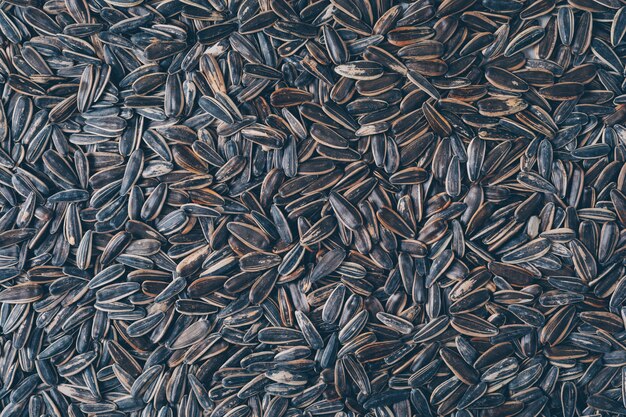Top view black sunflower seeds. horizontal