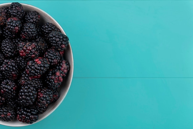 Top view of blackberry in a bowl on a light blue surface