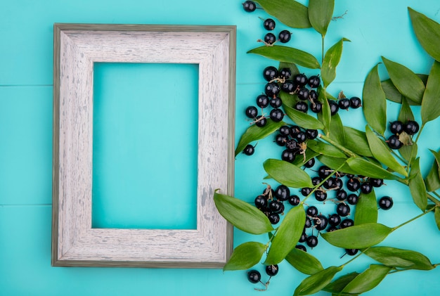 Free photo top view of blackberry in a bowl with leaf branches on a light blue surface