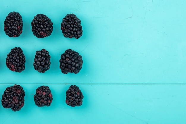 Free photo top view of blackberry on a light blue surface