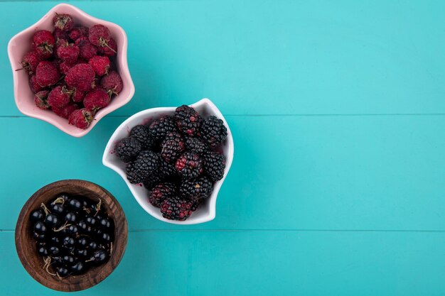 Top view of blackberry with raspberries and black currants in bowls on a turquoise surface