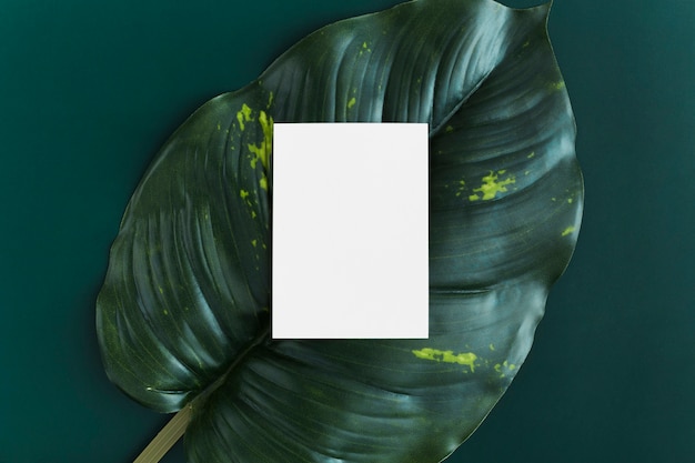 葉の背景に平面図の空白の名刺