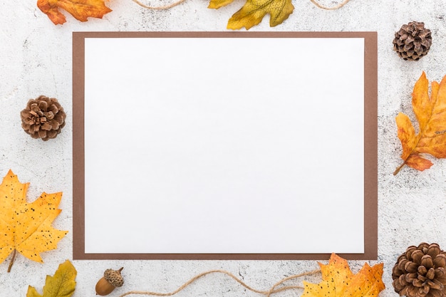 Top view of blank menu with pine cones and leaves