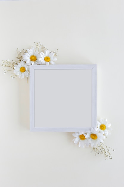 Top view of blank photo frame decorated with white daisy flowers over white backdrop