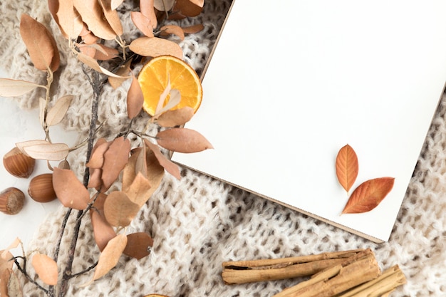 Top view of blank placard with autumn leaves and cinnamon sticks