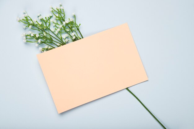 Top view blooming flowers with card