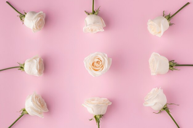 Top view blooming roses