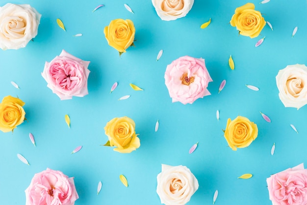 Top view blooming roses