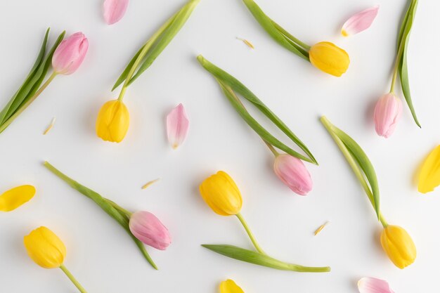 Top view blooming tulips