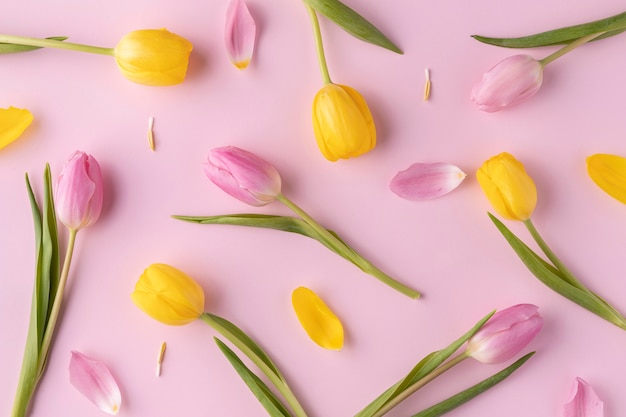 Top view blooming tulips