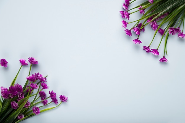 Top view blossom flowers bouquet