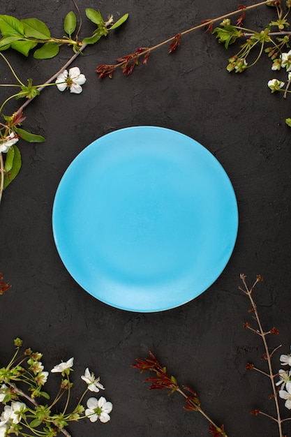 Free photo top view blue plate empty around white flowers on the dark