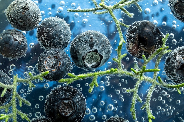 Free photo top view blueberries under water