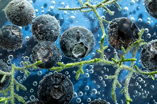 Top view blueberries under water