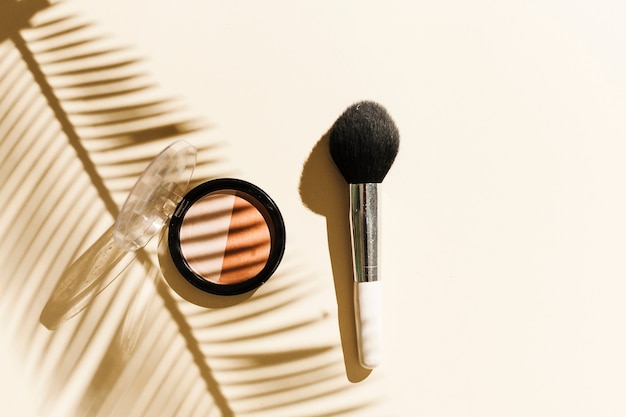 Top view blush with palm branch shadow