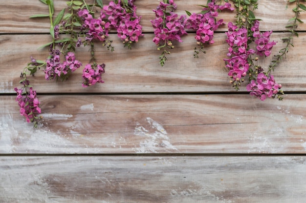 Free photo top view of boards with pretty plants