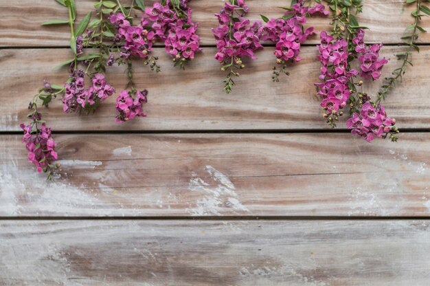 Top view of boards with pretty plants