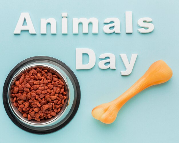 Top view of bone with food bowl for animal day