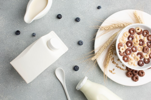 Free photo top view bottle of milk and cereal bowl