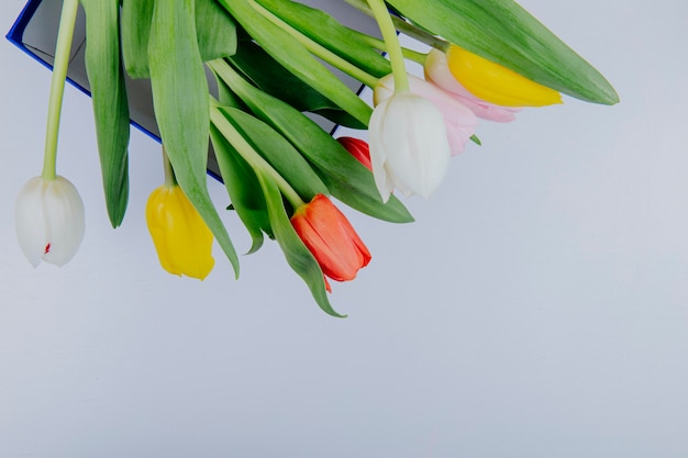 Vista dall'alto di un mazzo di fiori colorati tulipano isolato su sfondo bianco con spazio di copia